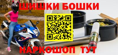 мдпв Будённовск