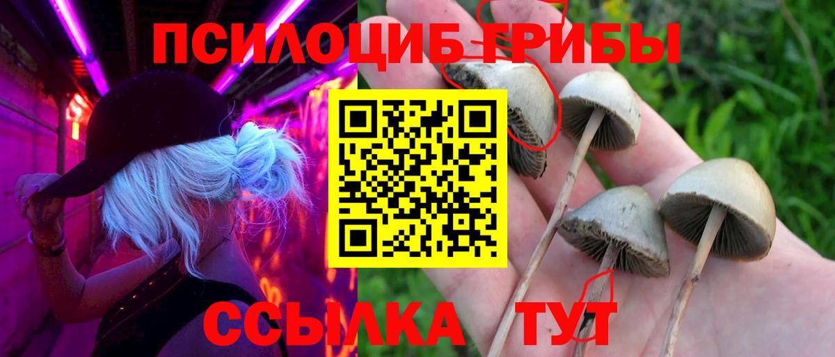 Псилоцибиновые грибы GOLDEN TEACHER  Вход с VPN  Пугачёв 